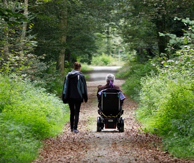 Person_mit_Rollstuhl_auf_Waldweg.jpg