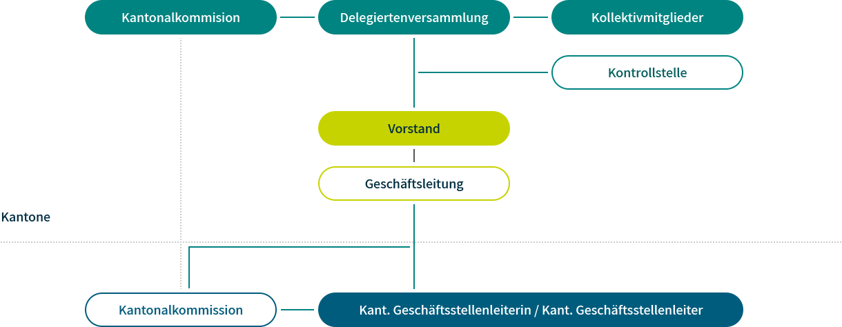 Delegiertenversammlung mit Kantonalkommission und Kollektivmitgliedern, Kontrollstelle, Vorstand, Geschäftsleitung, auf kantonaler Ebene: Kantonalkommission und kantonale Geschäftleiter/innen
